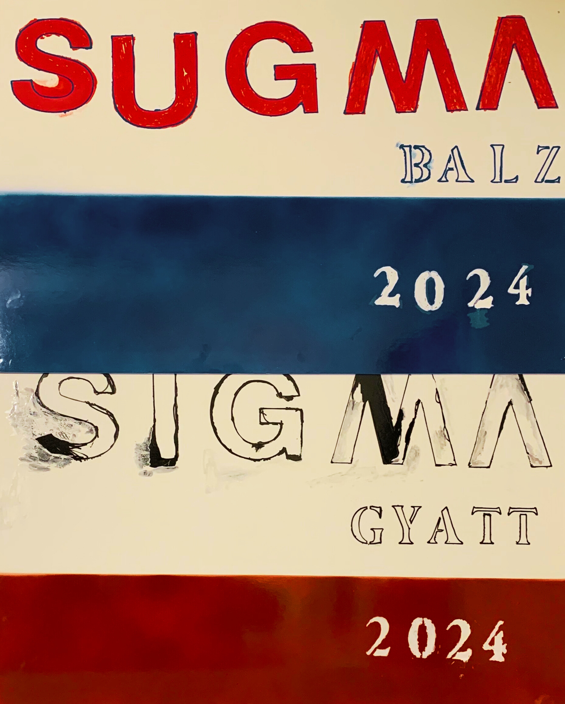 Political Campaign